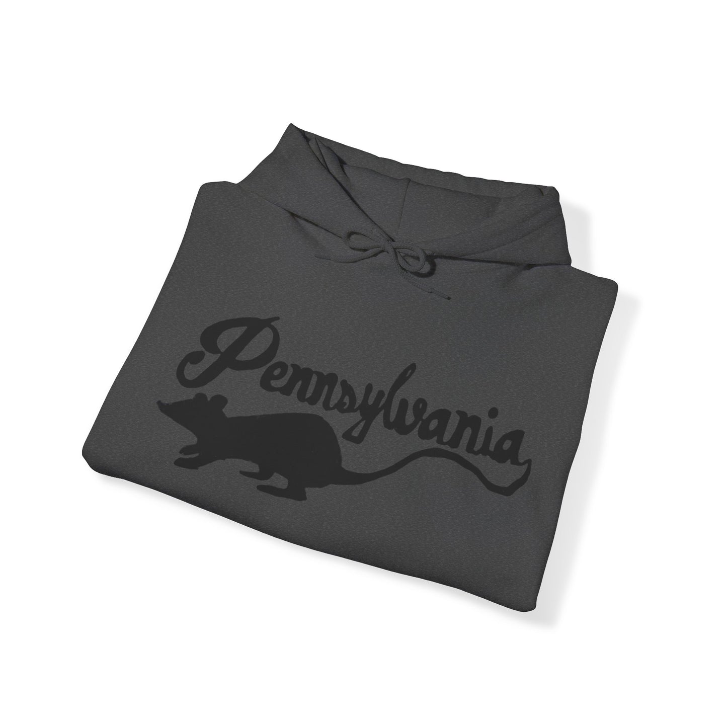 Pennsylvania Rats Unisex Heavy Blend™ Hooded Sweatshirt